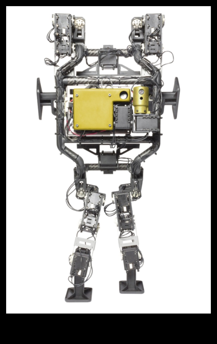 Proiectarea perspectivelor robotice: arta prin diferite lentile în robotică