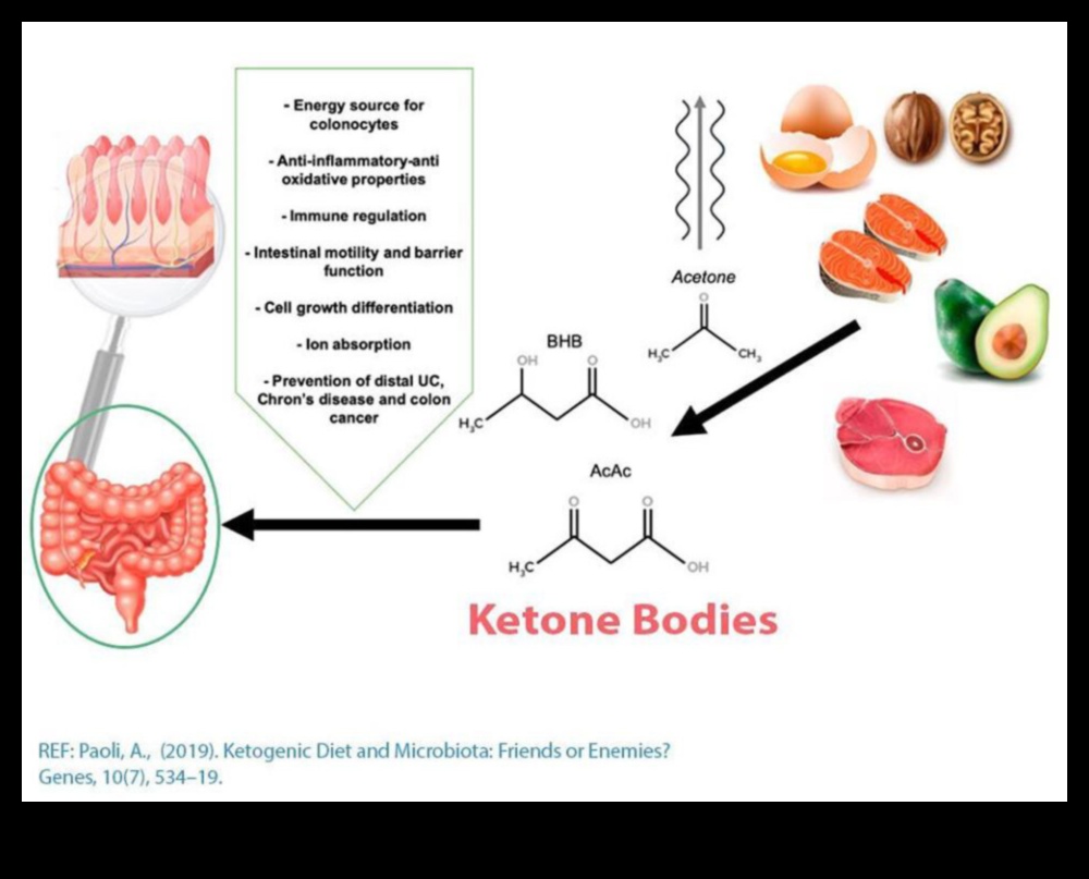 Dietele cu conținut scăzut de carbohidrați și microbiomul intestinal: o relație simbiotică