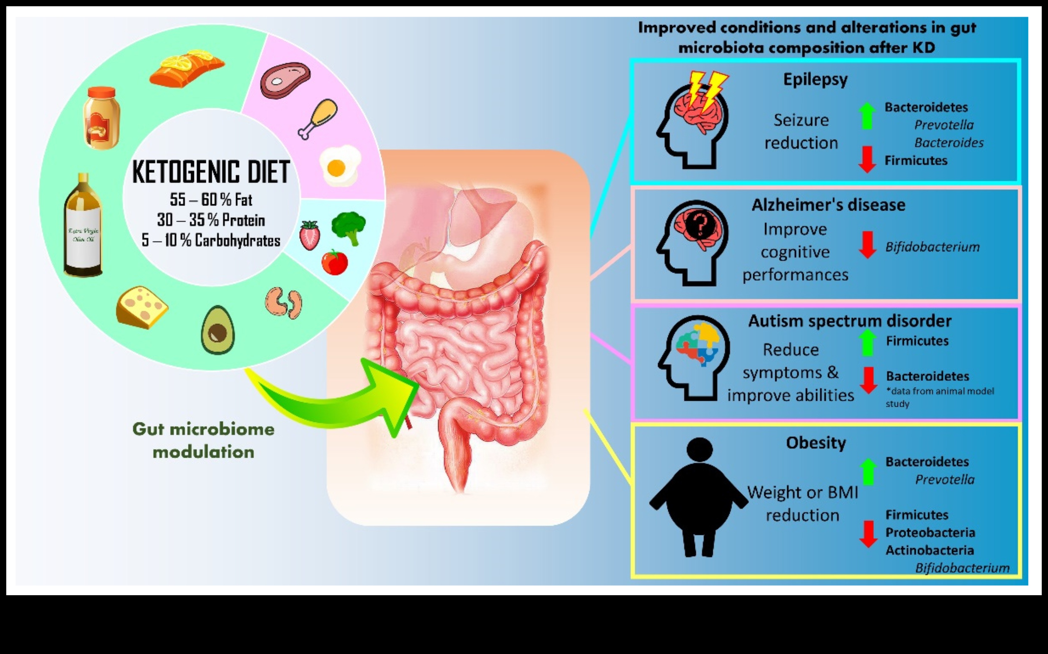 Dietele cu conținut scăzut de carbohidrați și microbiomul intestinal: o relație simbiotică