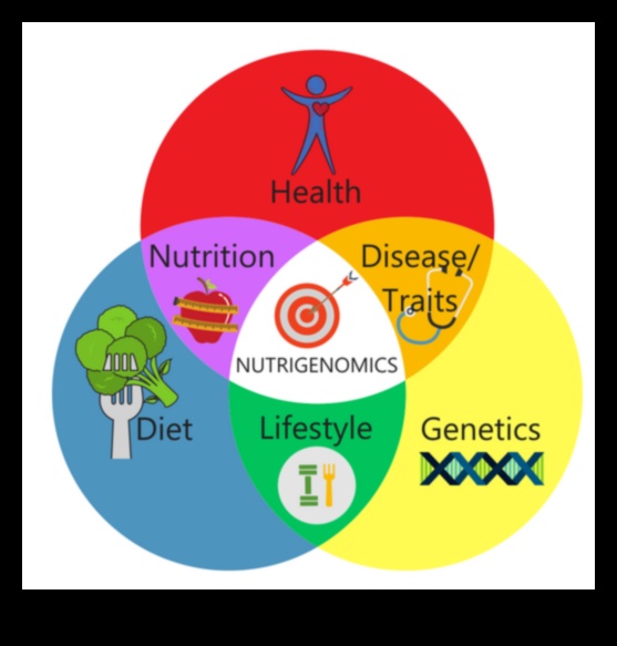 Mâncarea pentru genele tale: un ghid pentru Nutrigenomics