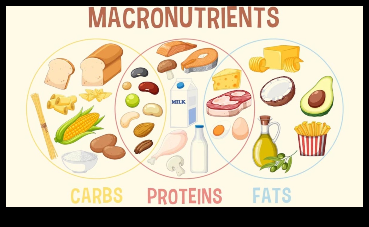 Simfonia de macronutrienți: armonizarea sănătății prin nutriție