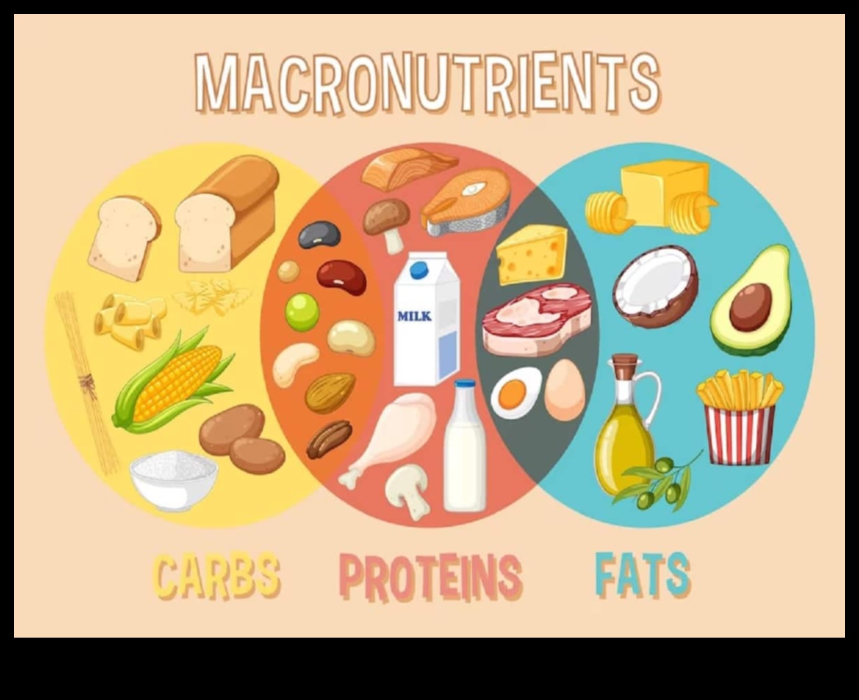 Simfonia de macronutrienți: armonizarea sănătății prin nutriție