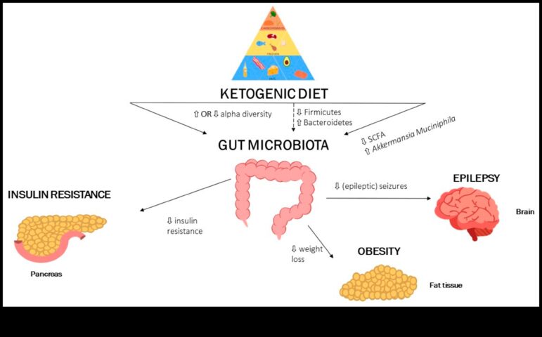 Dieta cu conținut scăzut de carbohidrați și microbiomul intestinal